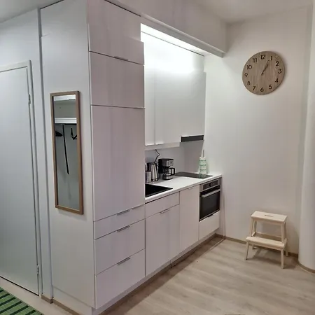 Pankin Talo With Free Parking Apartment Kuopio